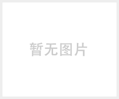 德国阳光蓄电池