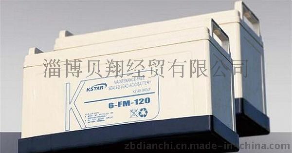 科士达蓄电池6-FM-65 科士达UPS蓄电池