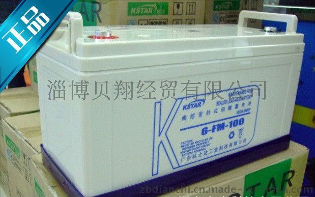 科士达蓄电池6-FM-100 UPS蓄电池